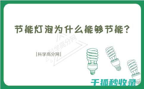 节能灯泡寿命：选购与使用全解析 (节能灯平均使用寿命)