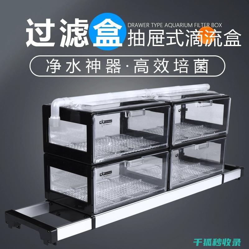 水族箱清洁注意事项