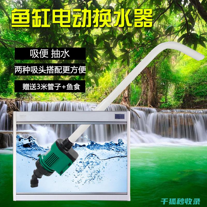 水族箱清洁注意事项