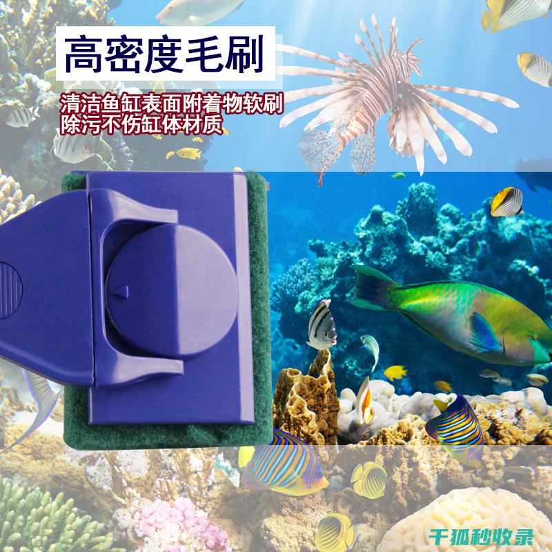 避免对鱼儿造成应激反应