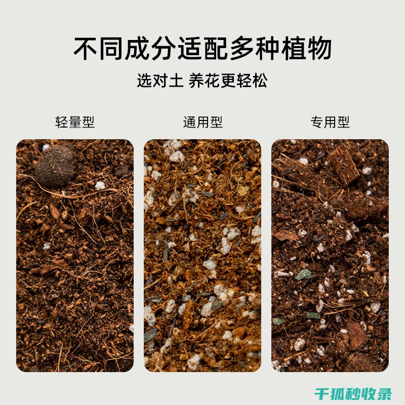盆栽土壤配比