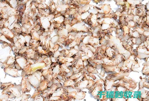 白鞋变黑了怎么变白