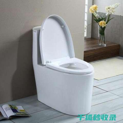 马桶水箱清洁指南：简单步骤让卫生更出色 (马桶水箱清洁蓝色放水里叫什么)