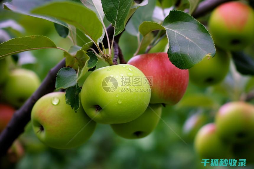 苹果切开后不发黑？这些方法帮你防止氧化 (苹果切开后不氧化是什么原因)