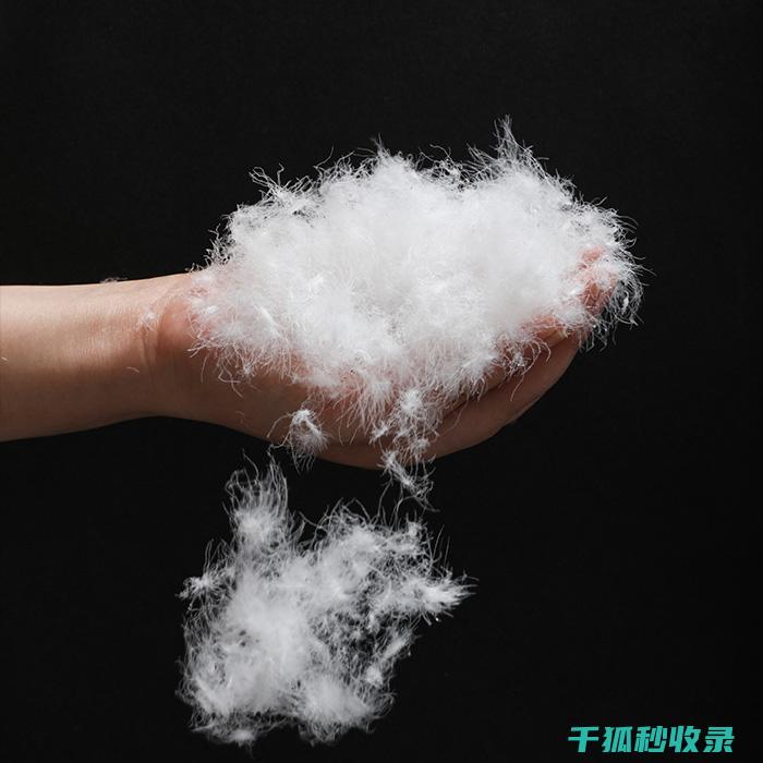 羽绒服去味全攻略：轻松摆脱难闻气味 (羽绒服去味全过程视频)