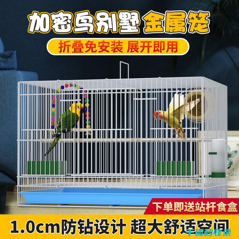 鸟笼清洁频率建议：根据季节调整清洁计划 (鸟笼清洁频率多少合适)