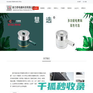 潮州市潮安区叁力思电器科技有限公司
